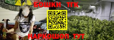 a pvp Ставрополь