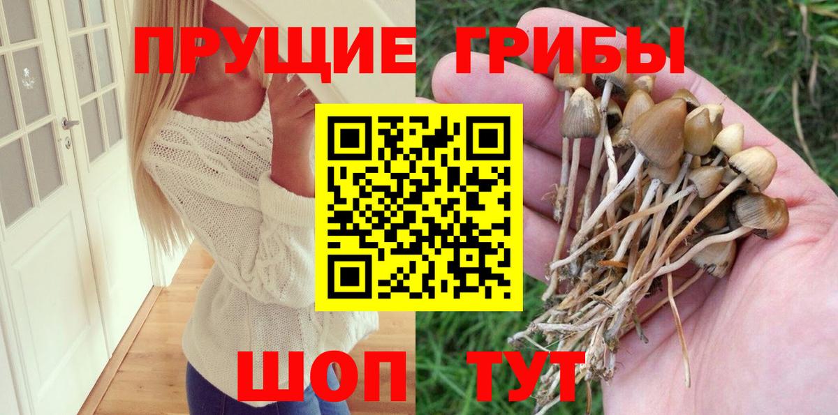 Галлюциногенные грибы GOLDEN TEACHER  Вход с VPN  Обнинск 